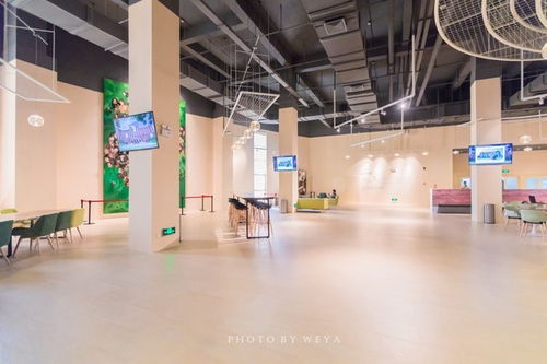 面面旅拍 探索奇妙科技工廠，坐擁海洋度假天堂，珠海夏日玩樂放縱之旅